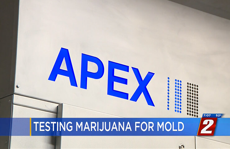 Apex-News-Cobertura