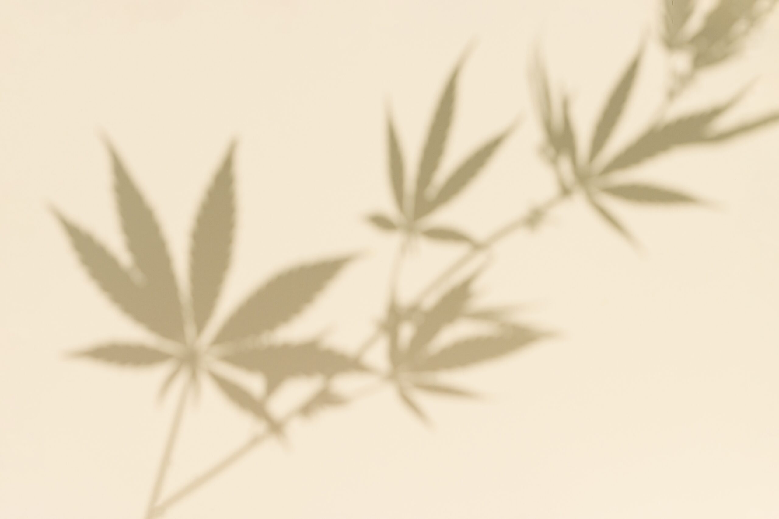 cannabis rescheduling