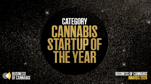 cannabis startup of the year