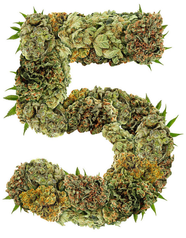 5 mitos comuns sobre a descontaminação da cannabis por radiofrequência – desmistificados